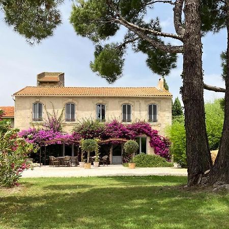 Maison Tara verte au Mas Montredon Arlés Exterior foto