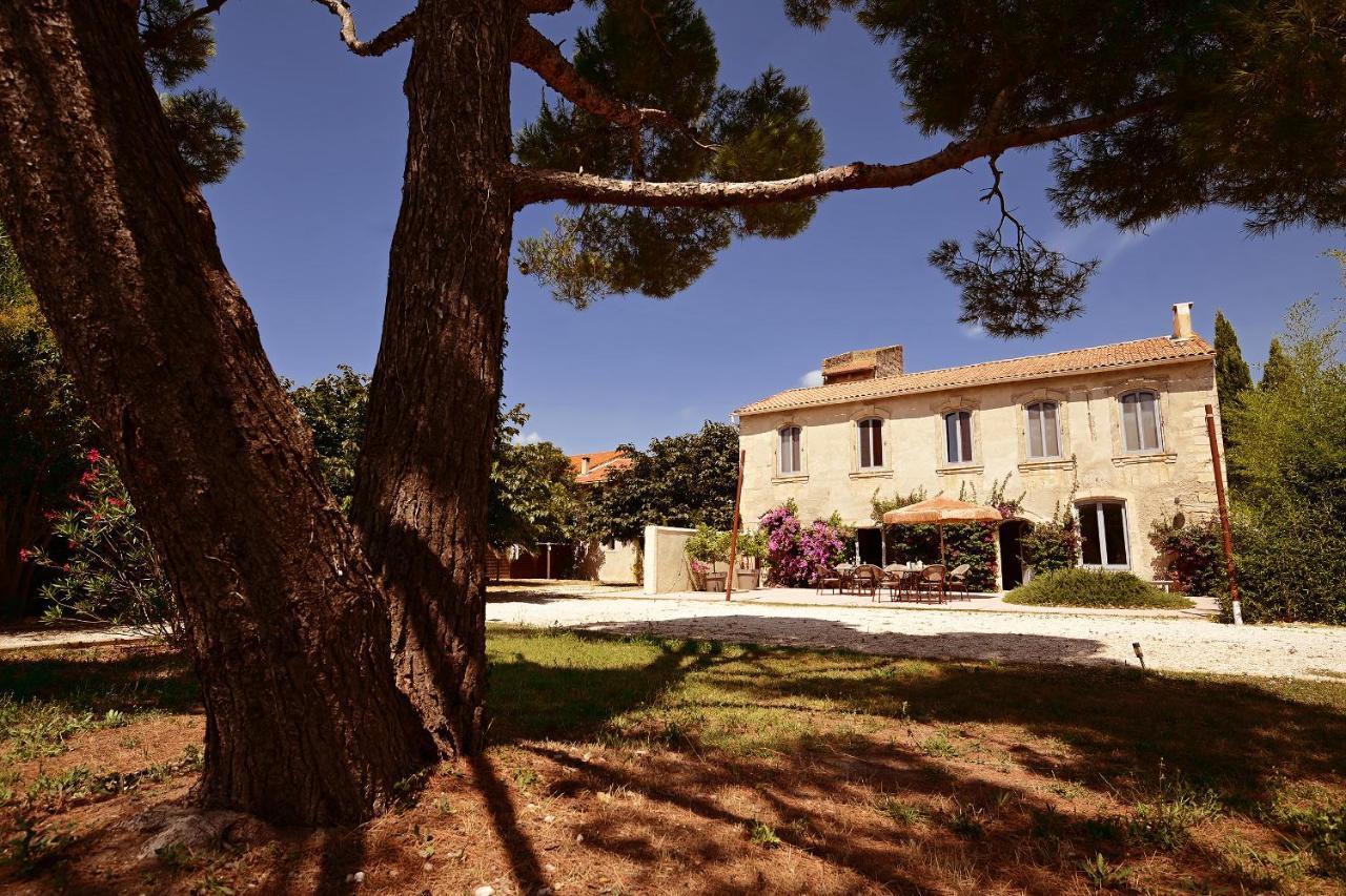 Maison Tara verte au Mas Montredon Arlés Exterior foto