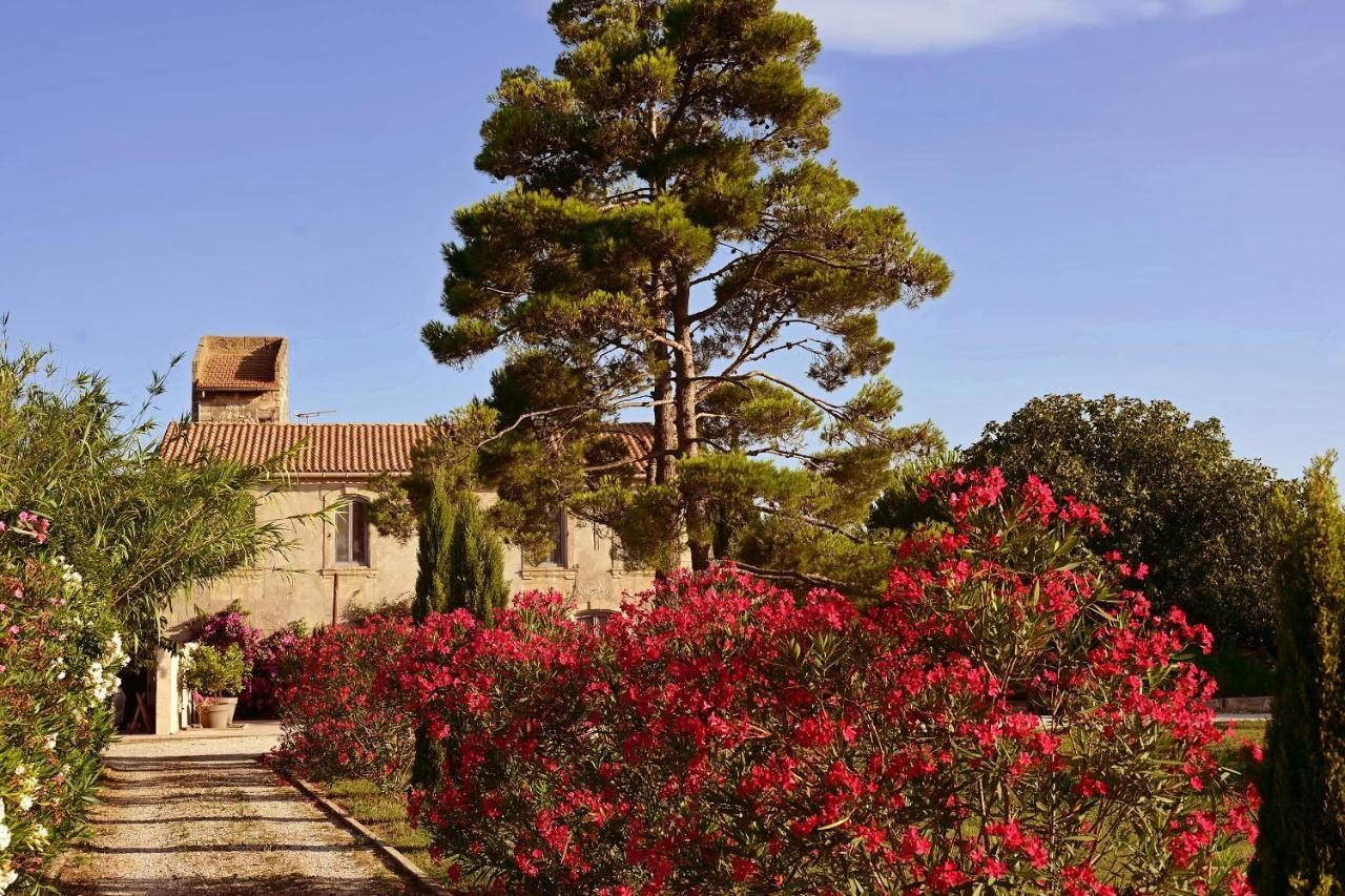 Maison Tara verte au Mas Montredon Bed and Breakfast Arlés Exterior foto