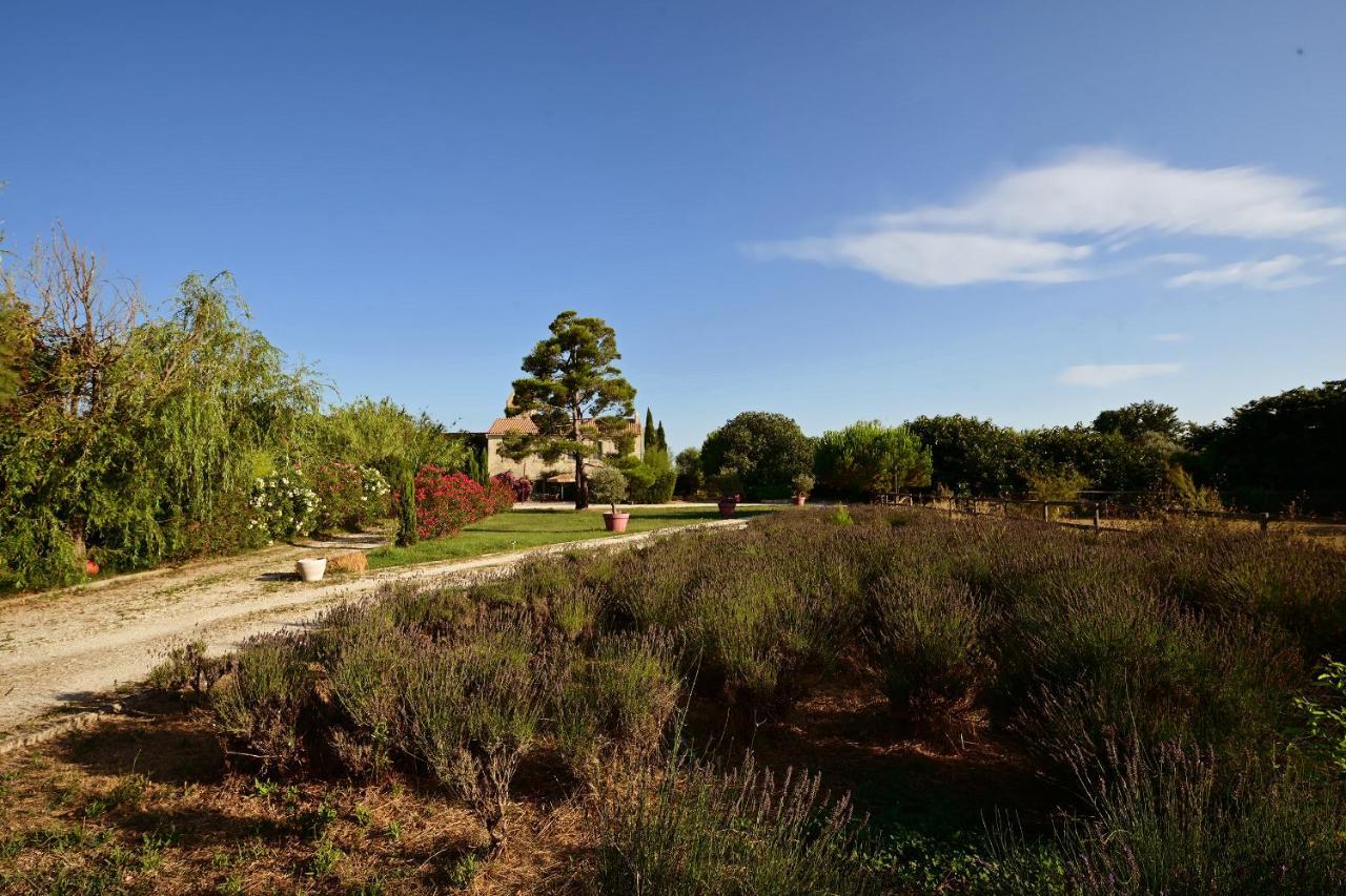 Maison Tara verte au Mas Montredon Arlés Exterior foto