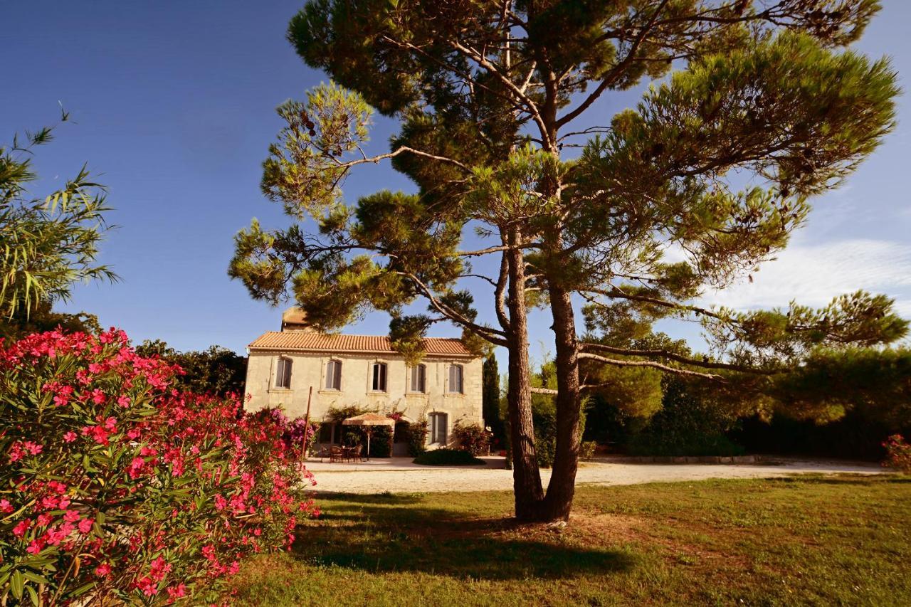 Maison Tara verte au Mas Montredon Bed and Breakfast Arlés Exterior foto