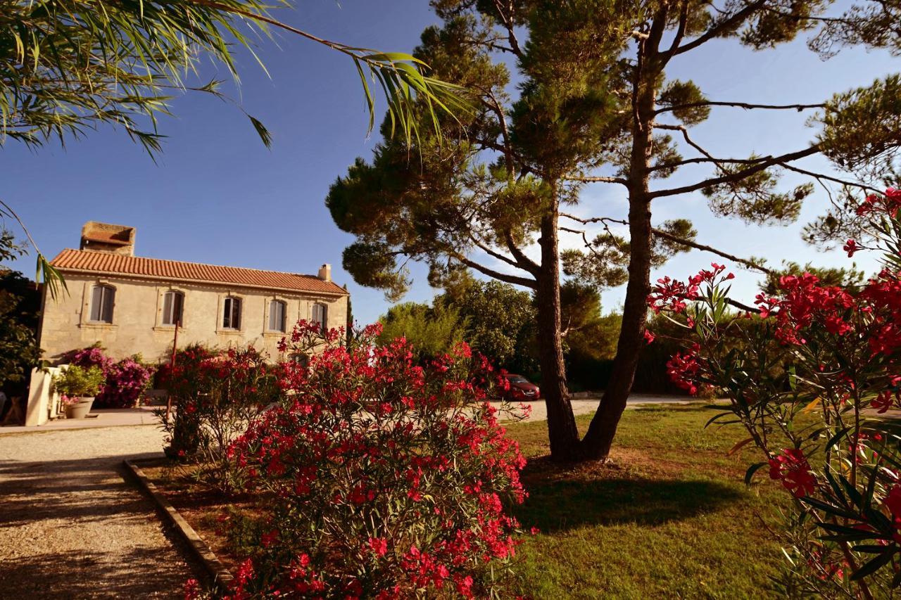 Maison Tara verte au Mas Montredon Arlés Exterior foto