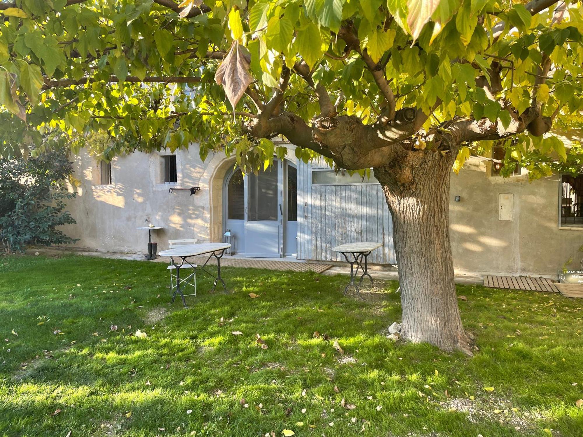 Maison Tara verte au Mas Montredon Arlés Exterior foto