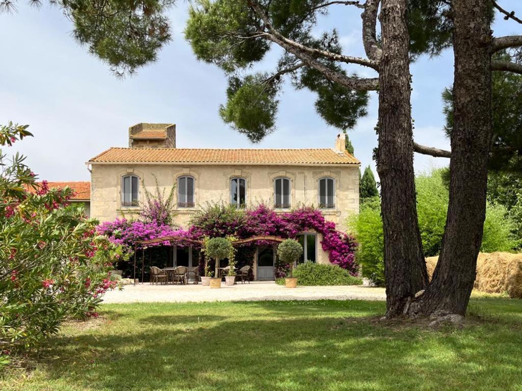 Maison Tara verte au Mas Montredon Arlés Exterior foto